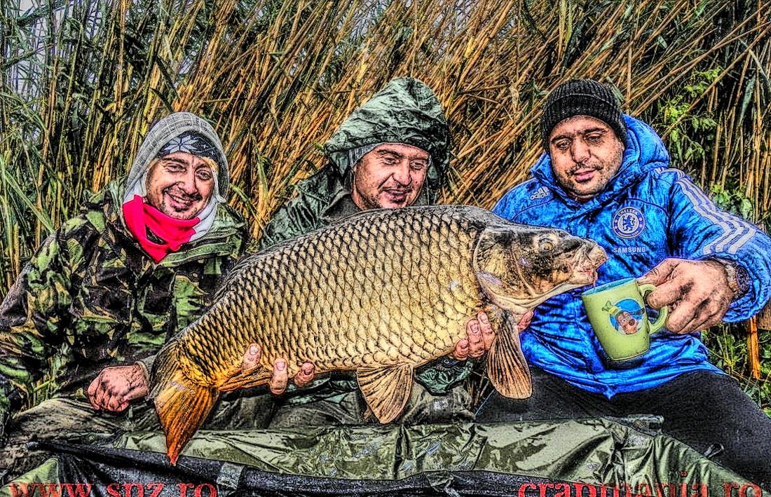 Boiliesmania 2013 - 1031414hdrmode2.jpg